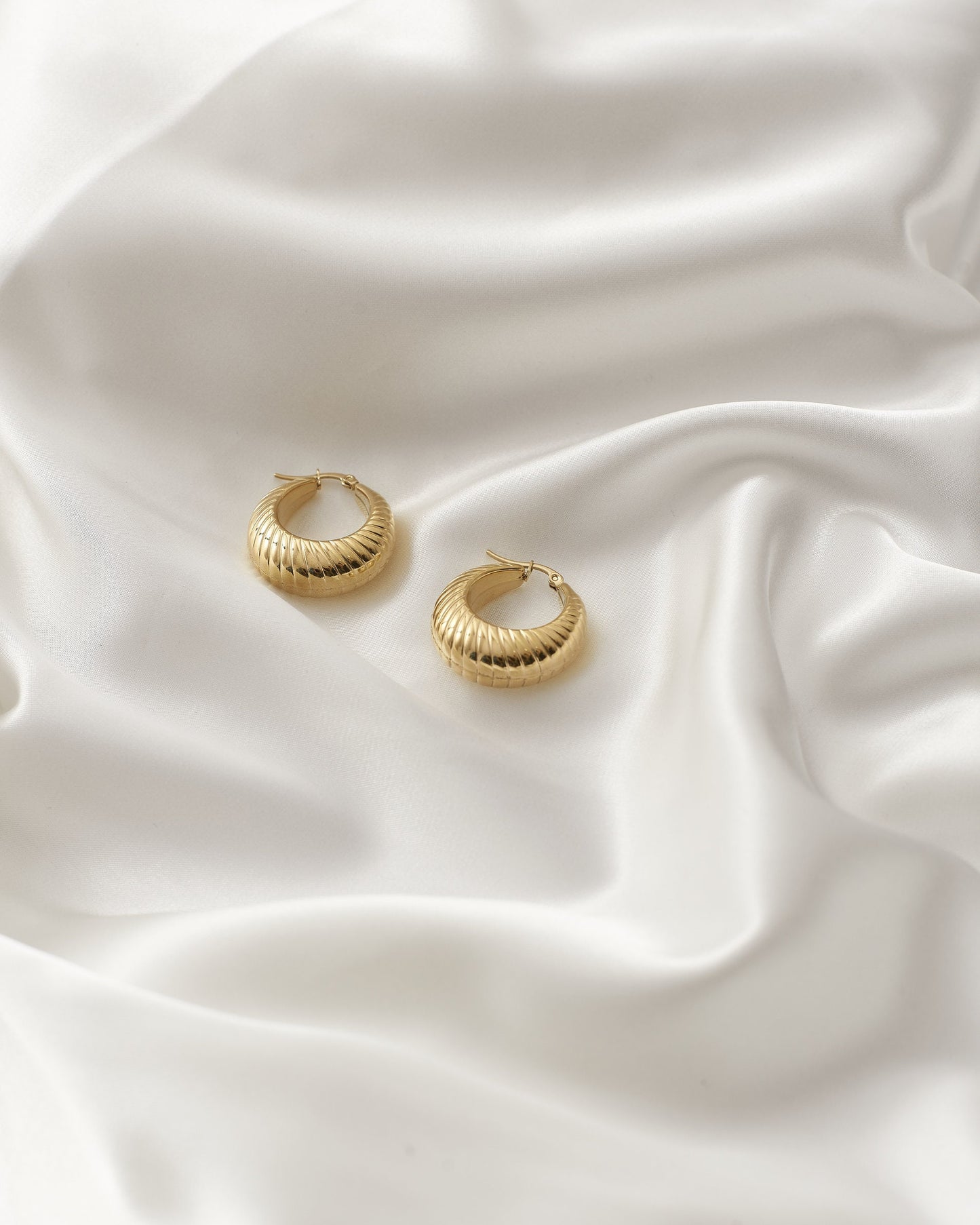 Seashell Earrings