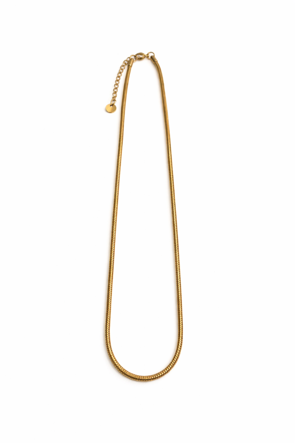 Pandora Necklace