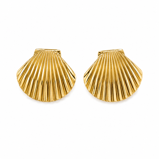 Seashell Earrings